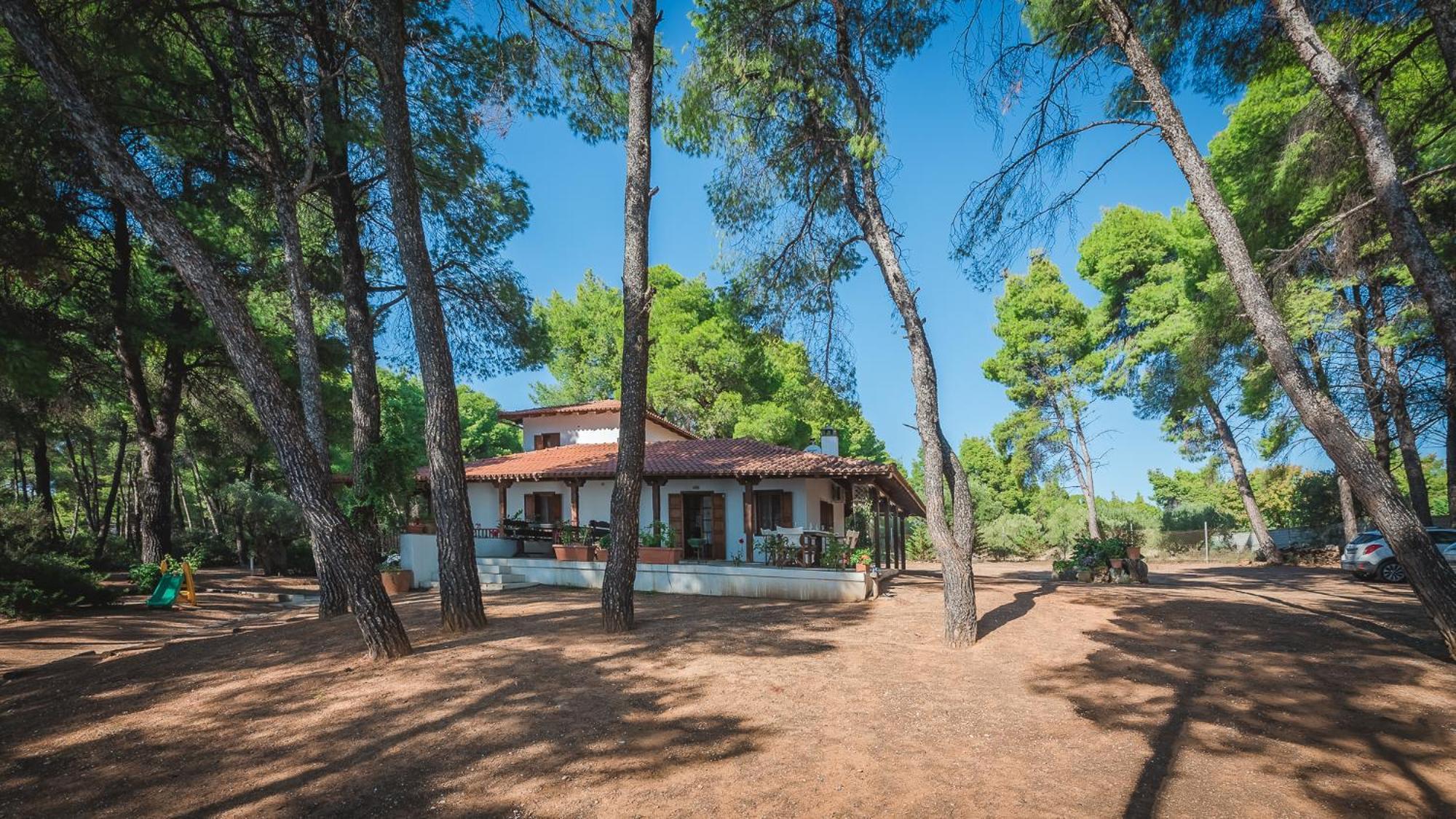 Squirrel Beach Front Villa, Metamorfosi Luaran gambar